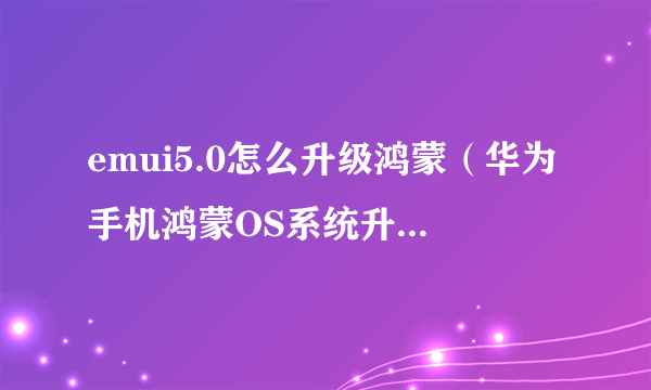 emui5.0怎么升级鸿蒙（华为手机鸿蒙OS系统升级教程）