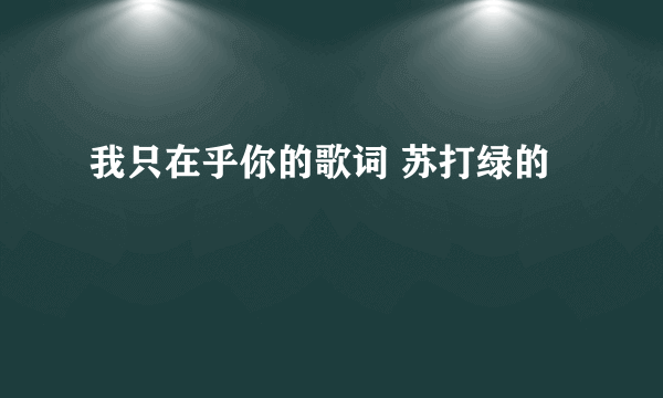 我只在乎你的歌词 苏打绿的