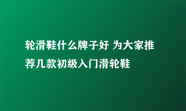 轮滑鞋什么牌子好 为大家推荐几款初级入门滑轮鞋