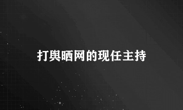 打舆晒网的现任主持