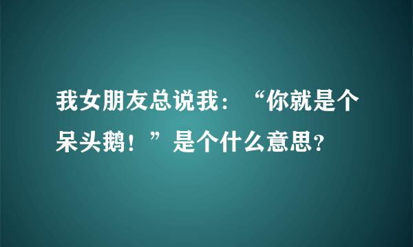 我女朋友总说我：“你就是个呆头鹅！”是个什么意思？