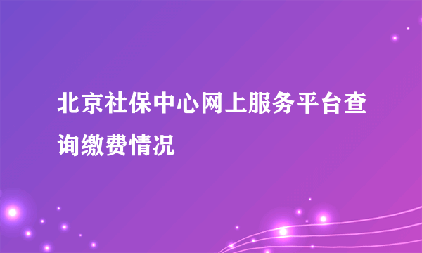 北京社保中心网上服务平台查询缴费情况