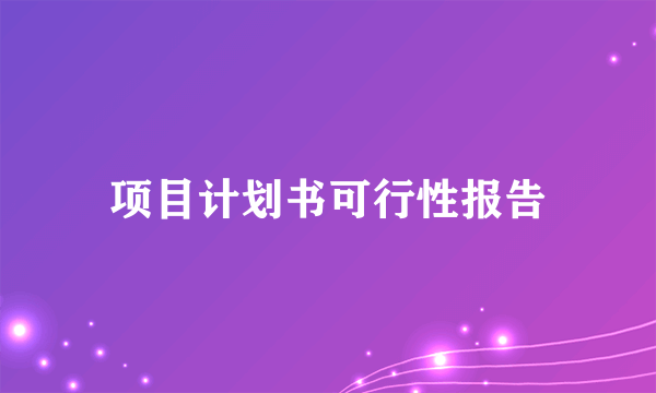 项目计划书可行性报告