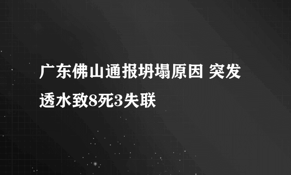 广东佛山通报坍塌原因 突发透水致8死3失联