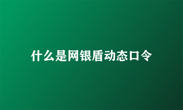 什么是网银盾动态口令