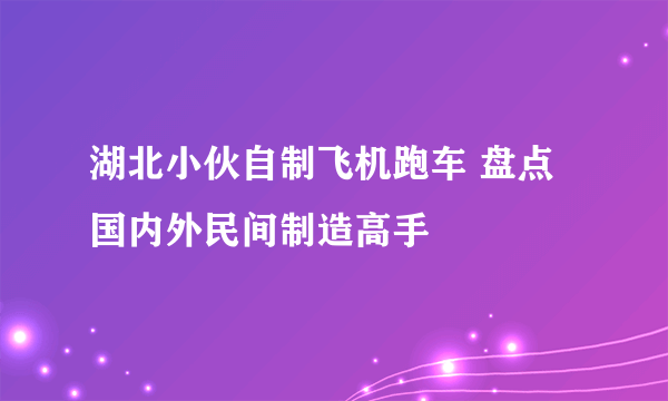 湖北小伙自制飞机跑车 盘点国内外民间制造高手