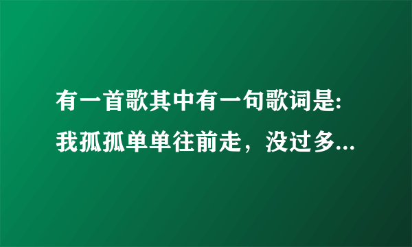 有一首歌其中有一句歌词是:我孤孤单单往前走，没过多久就低下头。歌名是什么？