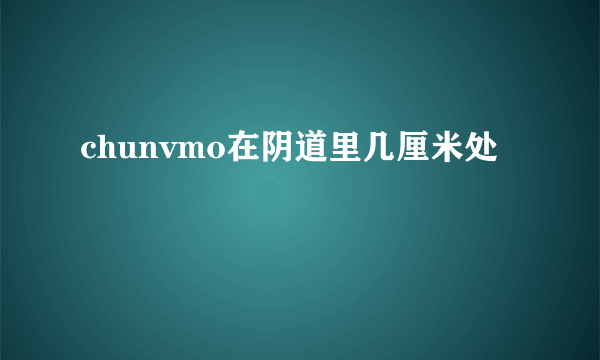 chunvmo在阴道里几厘米处