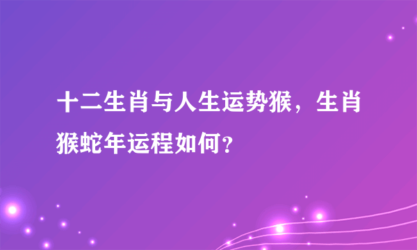 十二生肖与人生运势猴，生肖猴蛇年运程如何？