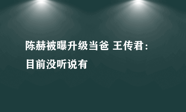 陈赫被曝升级当爸 王传君：目前没听说有