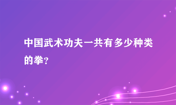 中国武术功夫一共有多少种类的拳？