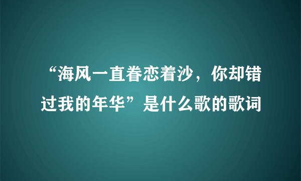 “海风一直眷恋着沙，你却错过我的年华”是什么歌的歌词