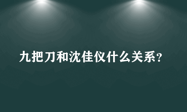 九把刀和沈佳仪什么关系？