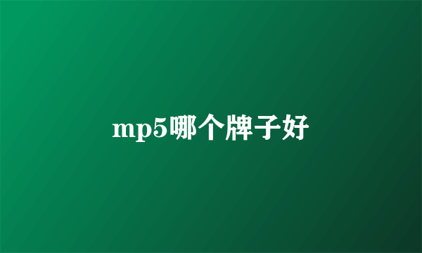 mp5哪个牌子好