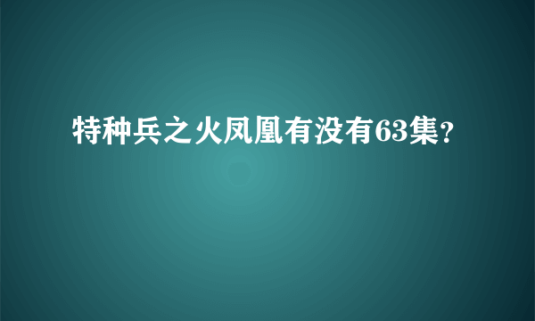 特种兵之火凤凰有没有63集？