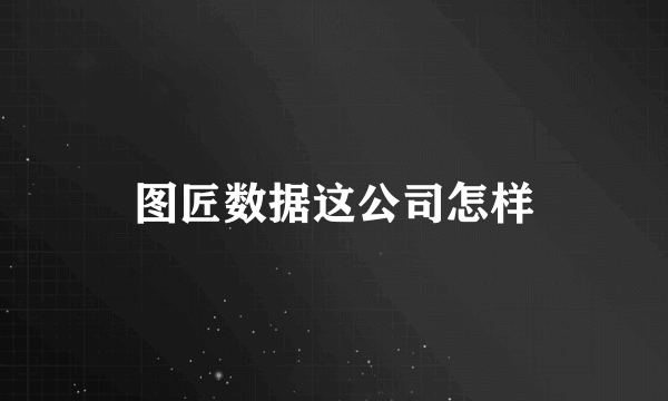 图匠数据这公司怎样