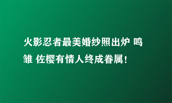 火影忍者最美婚纱照出炉 鸣雏 佐樱有情人终成眷属！