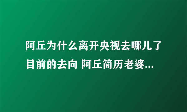 阿丘为什么离开央视去哪儿了目前的去向 阿丘简历老婆是朱迅吗