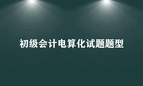 初级会计电算化试题题型