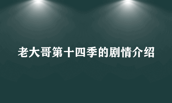 老大哥第十四季的剧情介绍