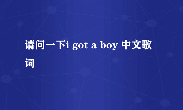 请问一下i got a boy 中文歌词