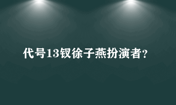 代号13钗徐子燕扮演者？