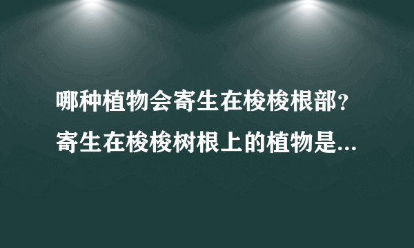 哪种植物会寄生在梭梭根部？寄生在梭梭树根上的植物是什么？蚂蚁庄园今日答案