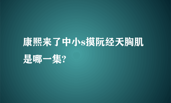 康熙来了中小s摸阮经天胸肌是哪一集?