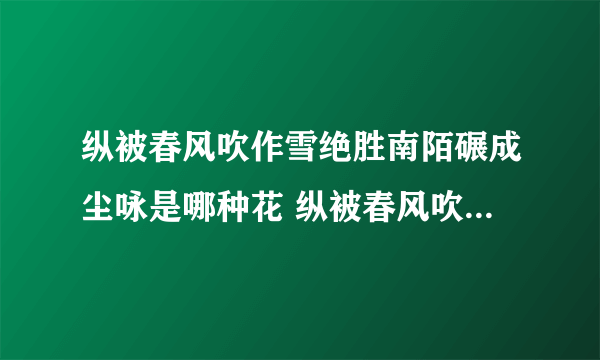 纵被春风吹作雪绝胜南陌碾成尘咏是哪种花 纵被春风吹作雪绝胜南陌碾成尘咏什么意思