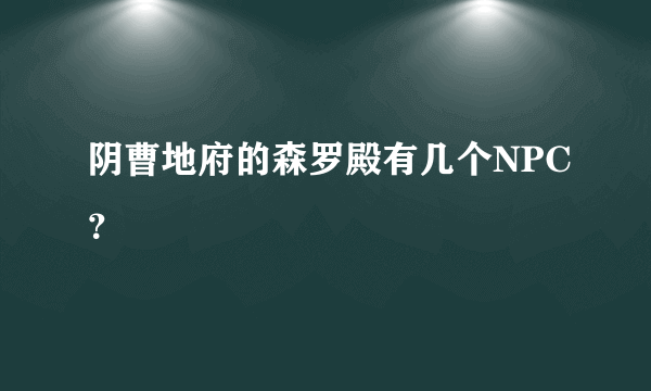 阴曹地府的森罗殿有几个NPC？