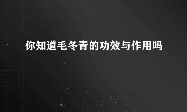 你知道毛冬青的功效与作用吗