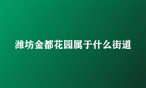 潍坊金都花园属于什么街道