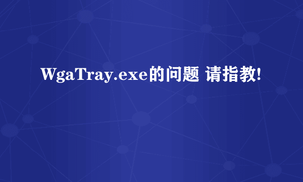 WgaTray.exe的问题 请指教!