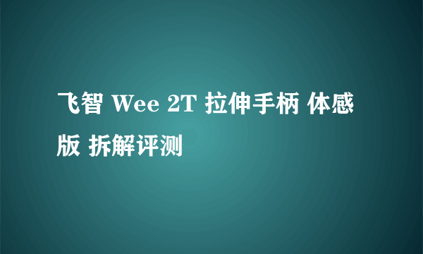 飞智 Wee 2T 拉伸手柄 体感版 拆解评测