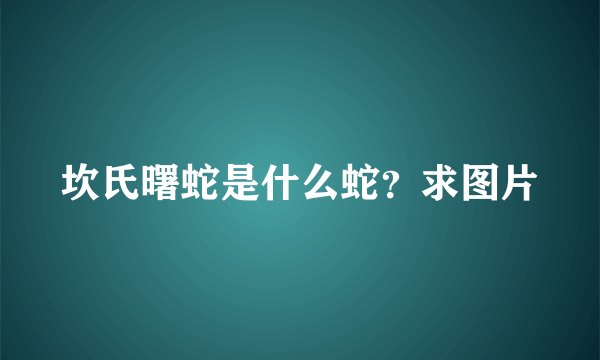 坎氏曙蛇是什么蛇？求图片