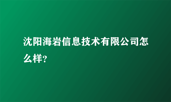 沈阳海岩信息技术有限公司怎么样？