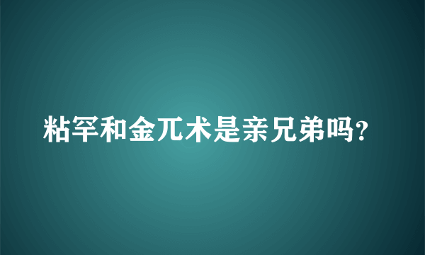 粘罕和金兀术是亲兄弟吗？