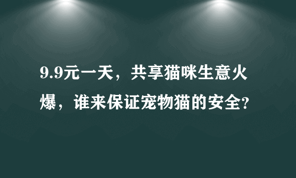 9.9元一天，共享猫咪生意火爆，谁来保证宠物猫的安全？