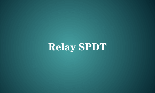 Relay SPDT