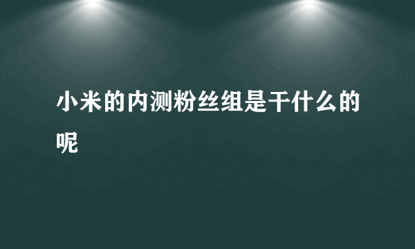 小米的内测粉丝组是干什么的呢