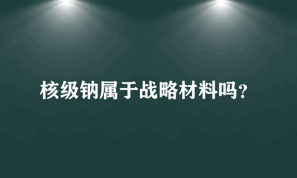 核级钠属于战略材料吗？