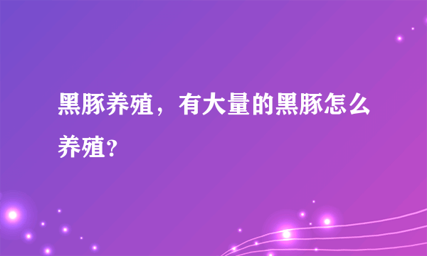 黑豚养殖，有大量的黑豚怎么养殖？