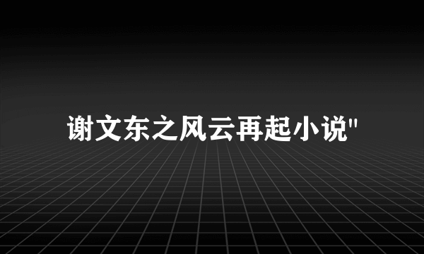 谢文东之风云再起小说