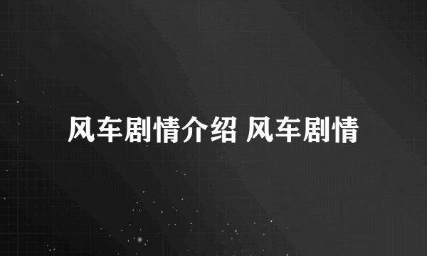 风车剧情介绍 风车剧情