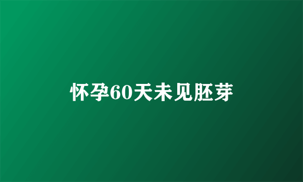 怀孕60天未见胚芽