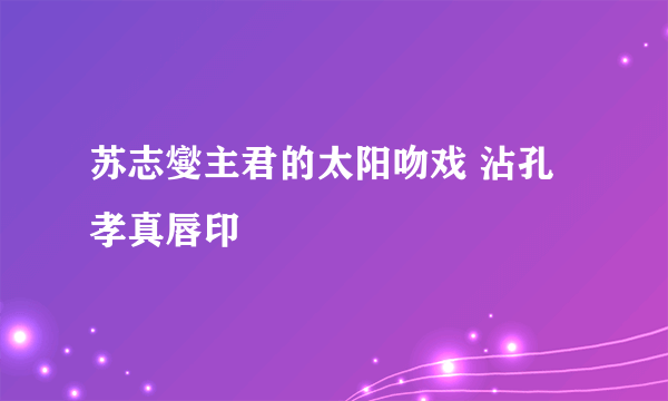 苏志燮主君的太阳吻戏 沾孔孝真唇印