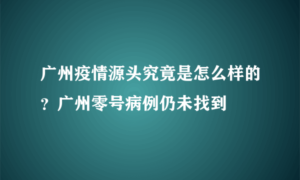 广州疫情源头究竟是怎么样的？广州零号病例仍未找到