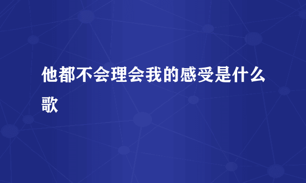 他都不会理会我的感受是什么歌