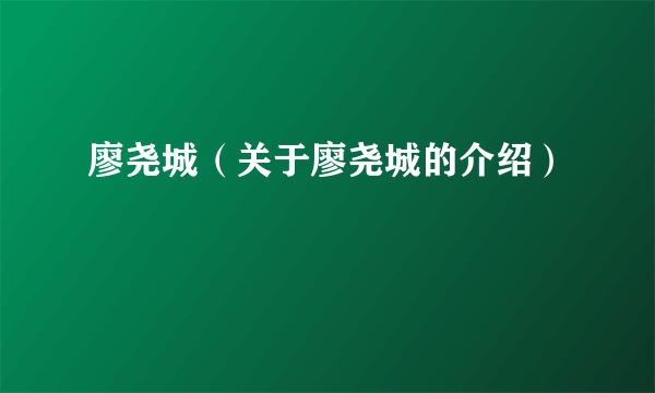 廖尧城（关于廖尧城的介绍）