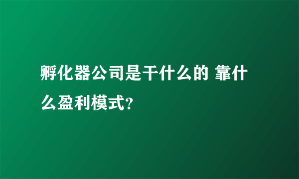 孵化器公司是干什么的 靠什么盈利模式？